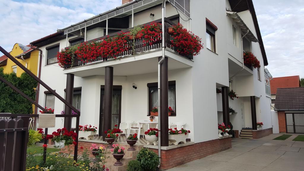 塞格德Anna Vendeghaz住宿加早餐旅馆 外观 照片
